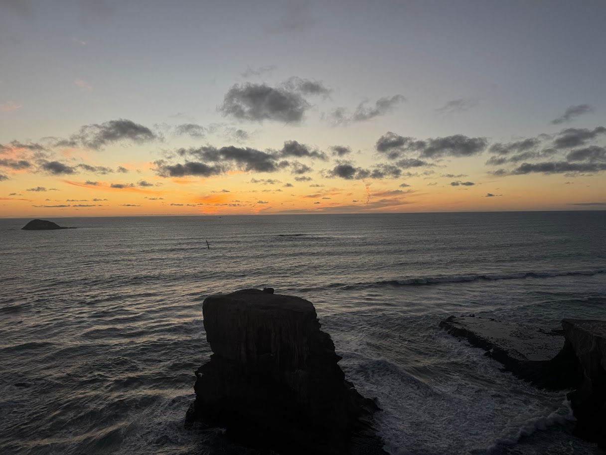Coastline at Muriwai, Auckland